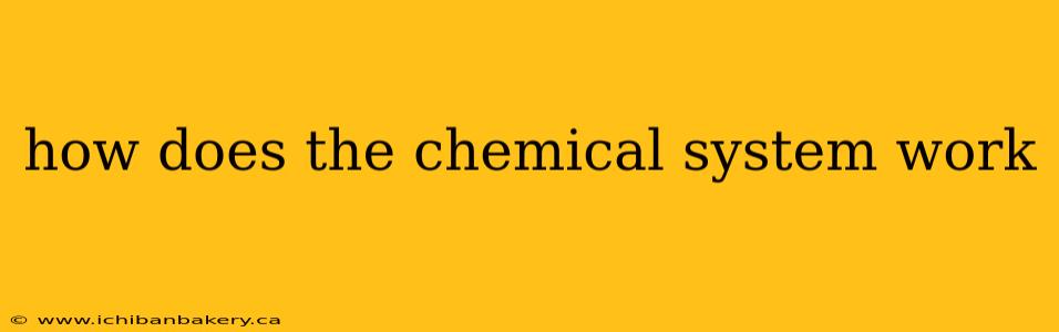 how does the chemical system work