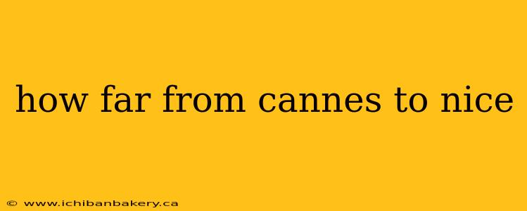 how far from cannes to nice
