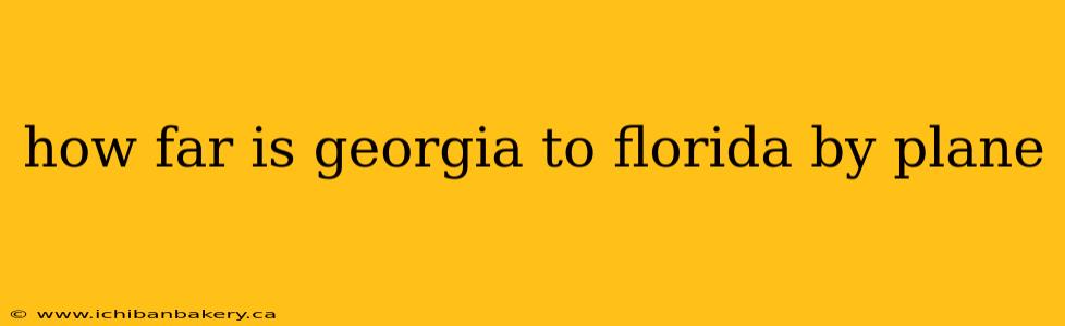 how far is georgia to florida by plane