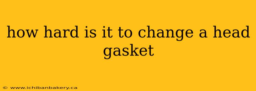 how hard is it to change a head gasket