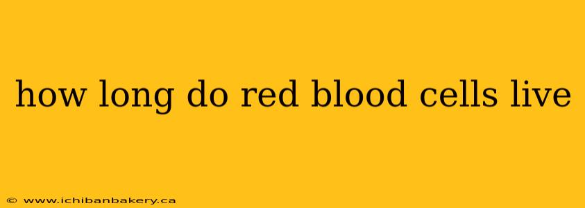 how long do red blood cells live