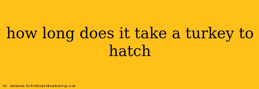 how long does it take a turkey to hatch