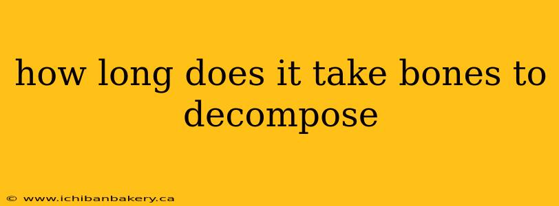 how long does it take bones to decompose