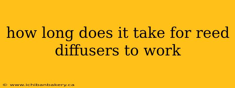 how long does it take for reed diffusers to work
