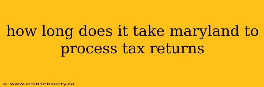 how long does it take maryland to process tax returns