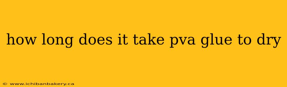 how long does it take pva glue to dry