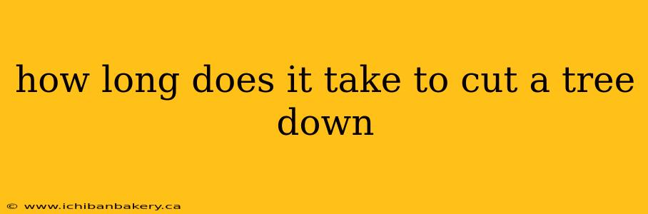 how long does it take to cut a tree down