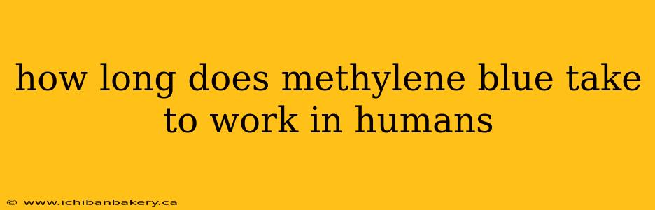 how long does methylene blue take to work in humans