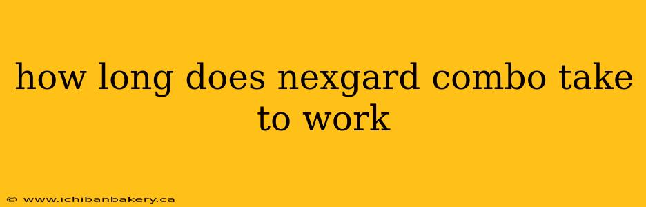 how long does nexgard combo take to work
