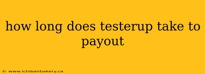how long does testerup take to payout