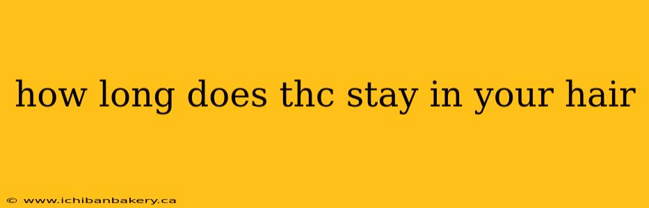 how long does thc stay in your hair