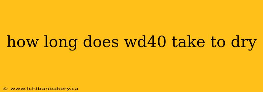 how long does wd40 take to dry