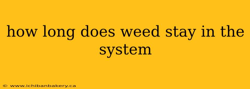 how long does weed stay in the system