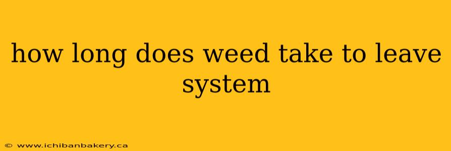 how long does weed take to leave system
