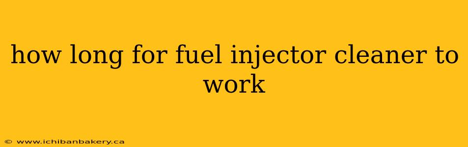 how long for fuel injector cleaner to work