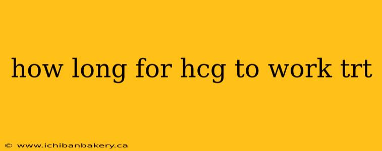 how long for hcg to work trt