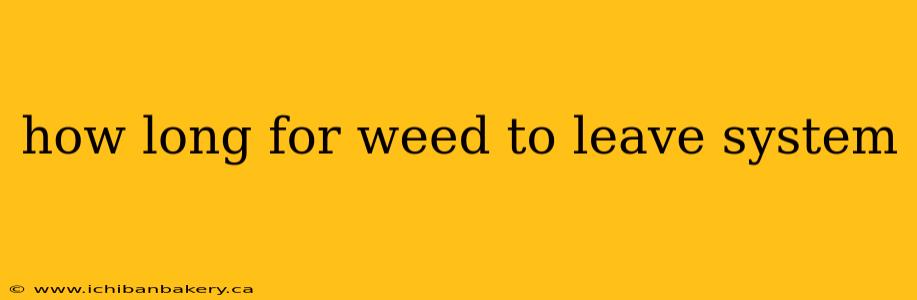 how long for weed to leave system