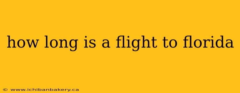 how long is a flight to florida