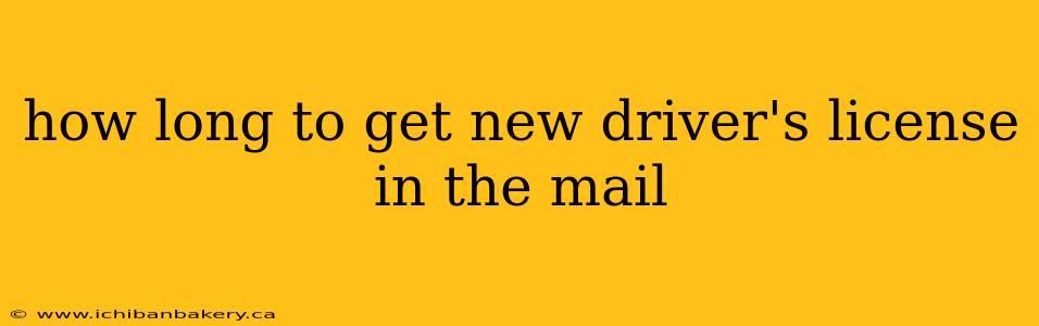how long to get new driver's license in the mail