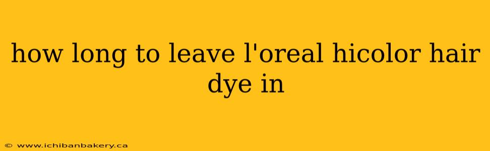 how long to leave l'oreal hicolor hair dye in