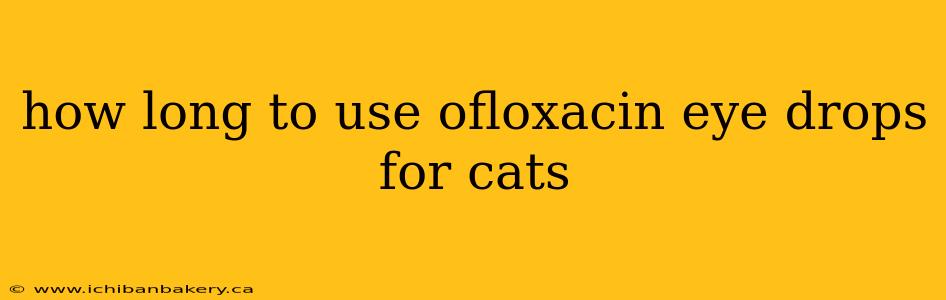 how long to use ofloxacin eye drops for cats