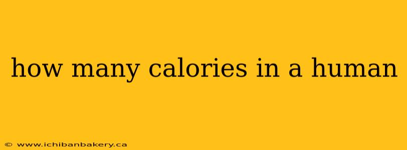 how many calories in a human
