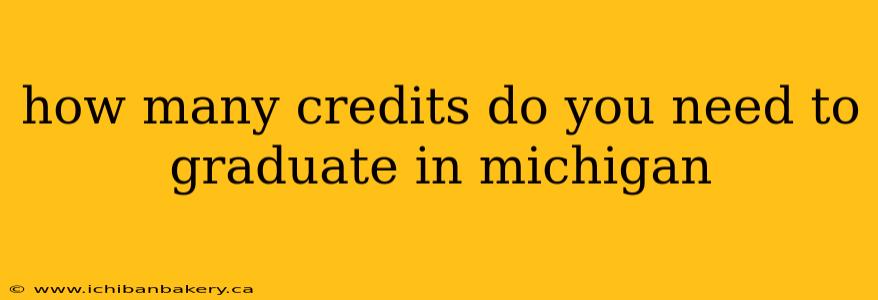 how many credits do you need to graduate in michigan