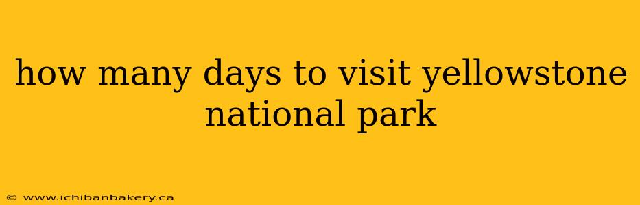how many days to visit yellowstone national park