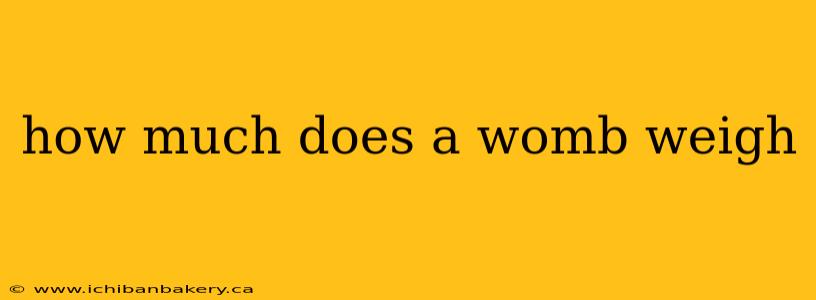 how much does a womb weigh