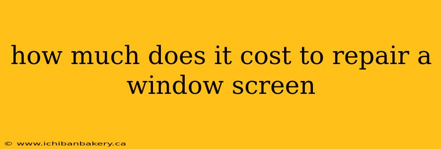 how much does it cost to repair a window screen