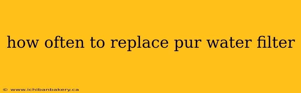how often to replace pur water filter