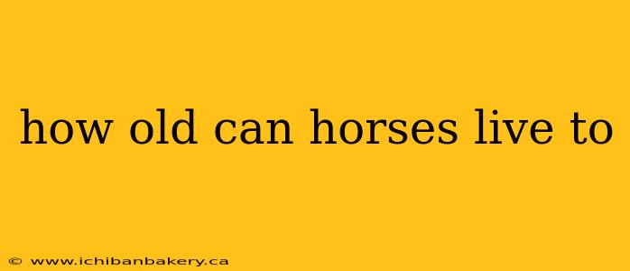 how old can horses live to