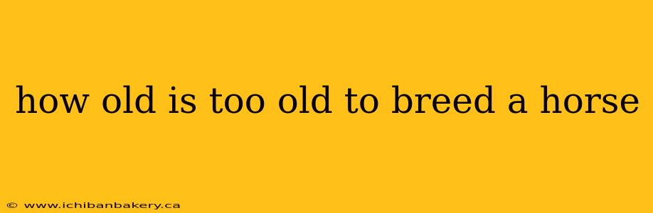 how old is too old to breed a horse