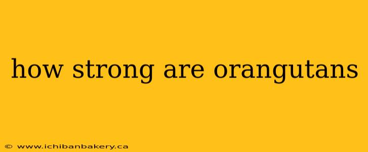 how strong are orangutans