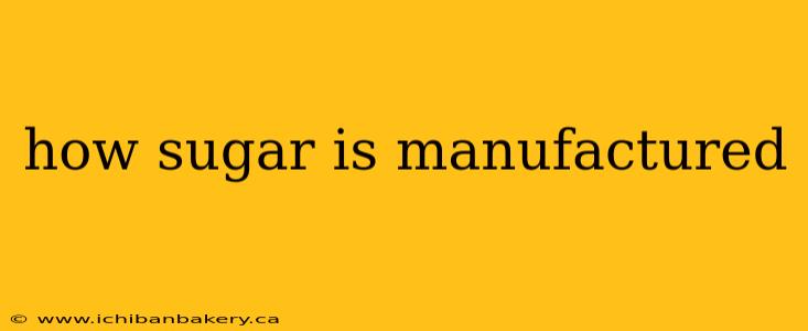 how sugar is manufactured