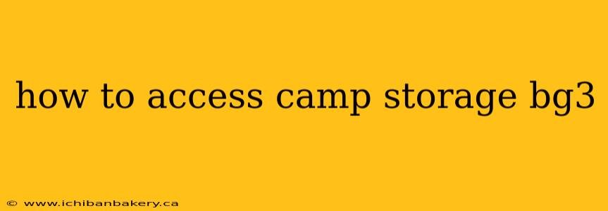 how to access camp storage bg3