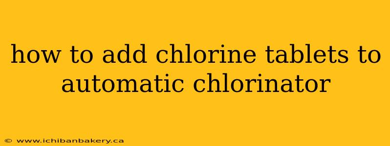 how to add chlorine tablets to automatic chlorinator