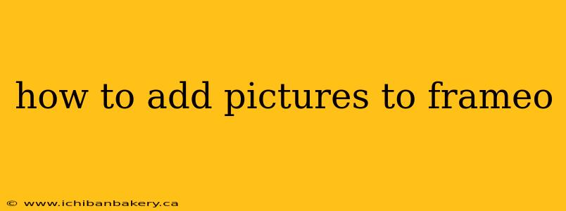 how to add pictures to frameo