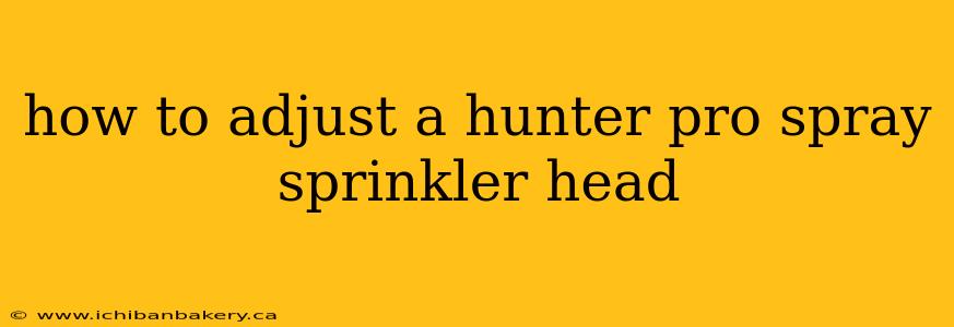 how to adjust a hunter pro spray sprinkler head