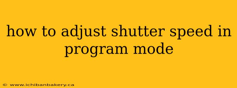 how to adjust shutter speed in program mode
