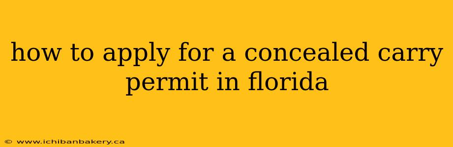 how to apply for a concealed carry permit in florida