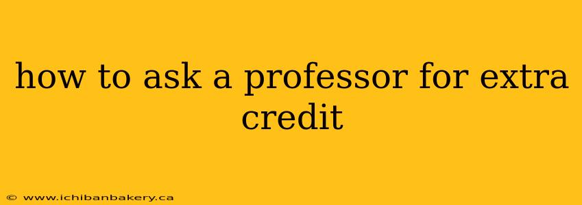 how to ask a professor for extra credit