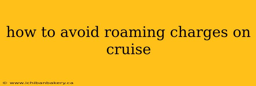 how to avoid roaming charges on cruise