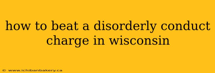 how to beat a disorderly conduct charge in wisconsin