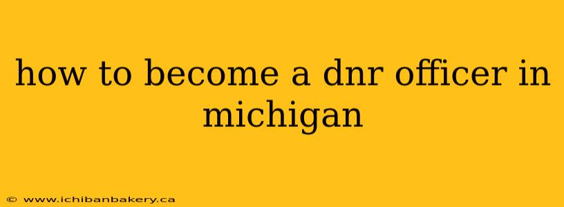 how to become a dnr officer in michigan