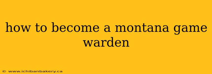how to become a montana game warden