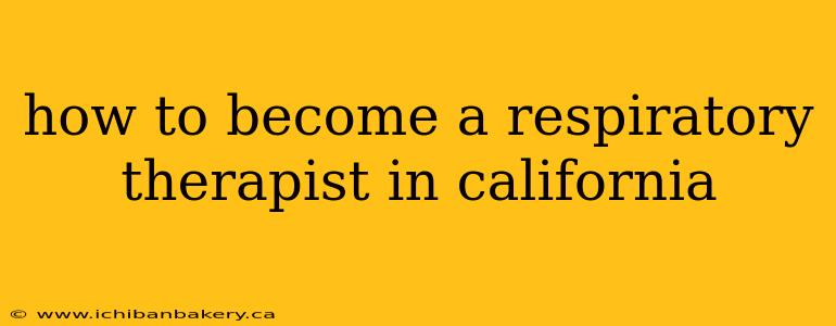 how to become a respiratory therapist in california
