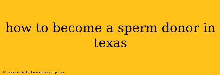 how to become a sperm donor in texas