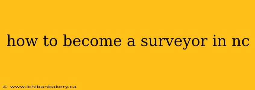 how to become a surveyor in nc
