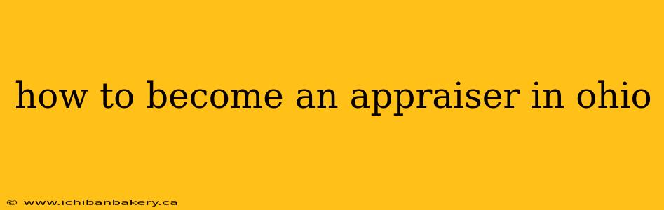 how to become an appraiser in ohio